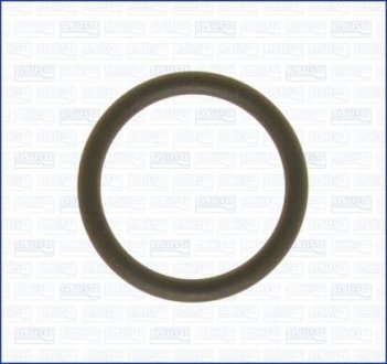 Кольцо резиновое AJUSA 16019600 (фото 1)