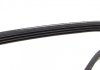 Ремень поликлиновый DAYCO 4PK1520 (фото 4)