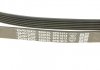Ремень поликлиновый DAYCO 6PK1613 (фото 4)