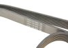Ремень поликлиновый DAYCO 7PK1605 (фото 4)