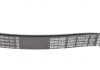 Ремень поликлиновый DAYCO 7PK2120 (фото 2)