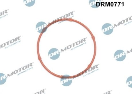 Прокладка двигателя DR.MOTOR DRM0771 (фото 1)